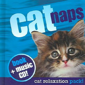 Cat Napscat 