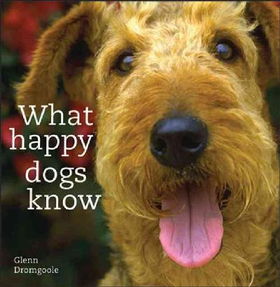 What Happy Dogs Knowhappy 