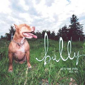Bullybully 