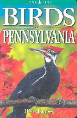 Birds Of Pennsylvaniabirds 