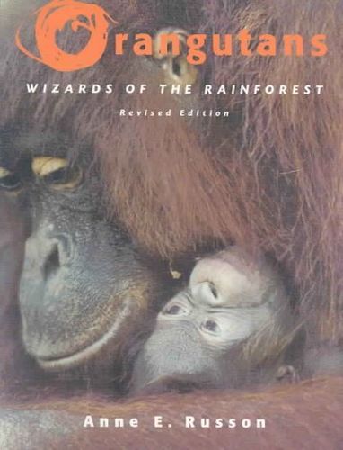 Orangutansorangutans 