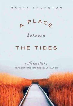 A Place Between the Tidesplace 