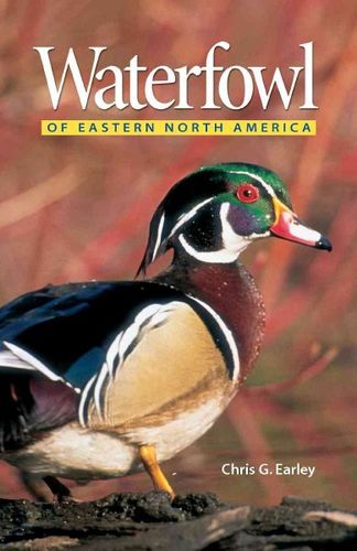 Waterfowl Of Eastern North Americawaterfowl 