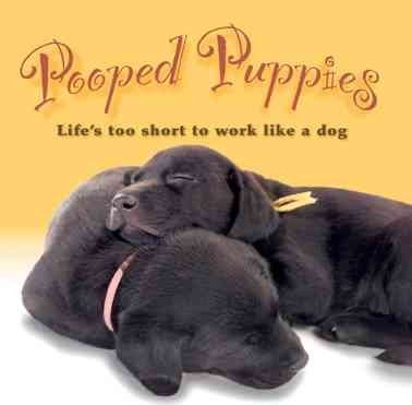 Pooped Puppiespooped 