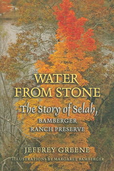 Water from Stonewater 