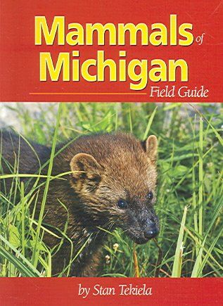 Mammals Of Michigan Field Guidemammals 