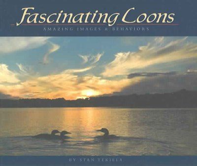 Fascinating Loonsfascinating 