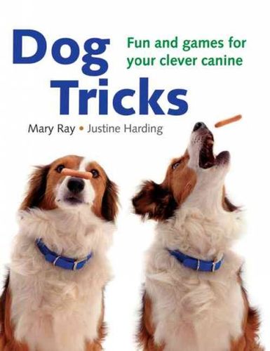 Dog Tricksdog 