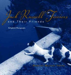 Jack Russell Terriers and Their Friendsjack 