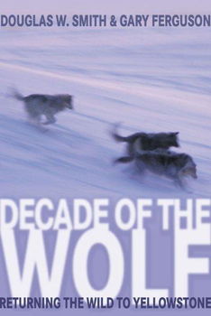 Decade of the Wolfdecade 