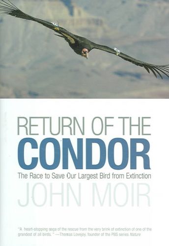 Return of the Condorcondor 
