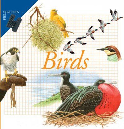 Birdsbirds 