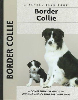 Border Collieborder 