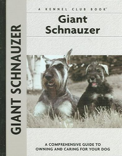 Giant Schnauzergiant 