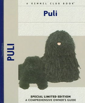 Pulipuli 