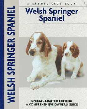Welsh Springer Spanielwelsh 