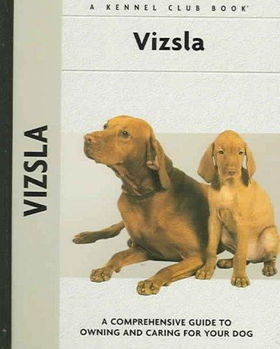 Vizslavizsla 