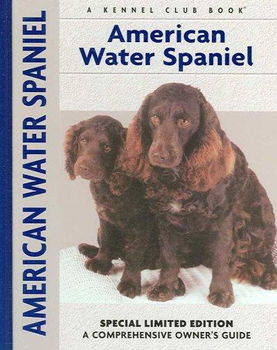 American Water Spanielamerican 