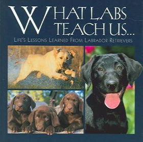 What Labs Teach Uslabs 