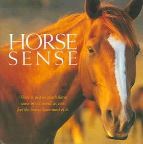 Horse Sensehorse 
