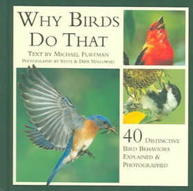Why Birds Do Thatbirds 
