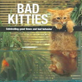 Bad Kittieskitties 