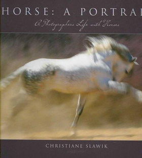 Horse: A Portraithorse 