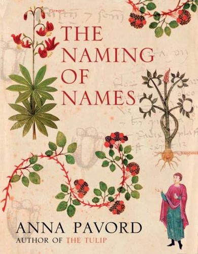 The Naming of Namesnaming 