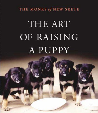 The Art of Raising a Puppyart 