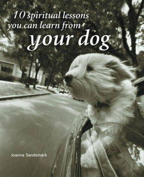 10 Spiritual Lessons You Can Learn From Your Dogspiritual 