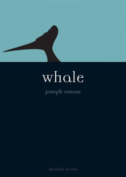 Whalewhale 