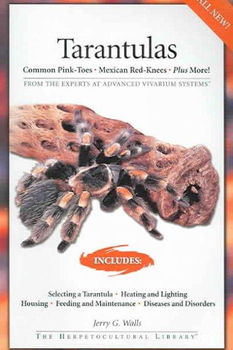Tarantulastarantulas 