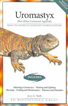 Uromastyxuromastyx 