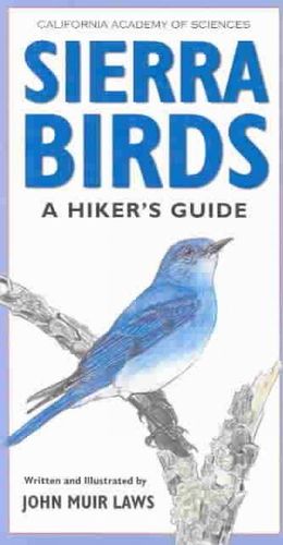 Sierra Birdssierra 