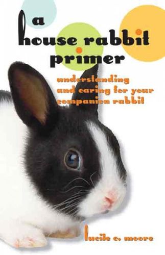 A House Rabbit Primerhouse 