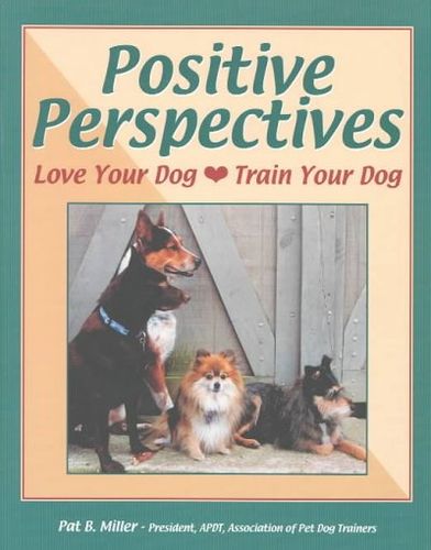 Positive Perspectivespositive 
