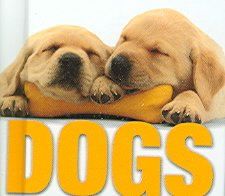 Dogsdogs 