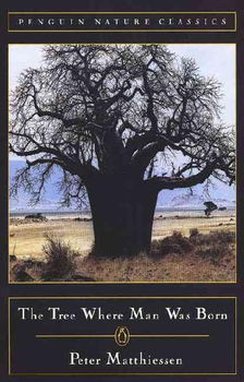 The Tree Where Man Was Borntree 