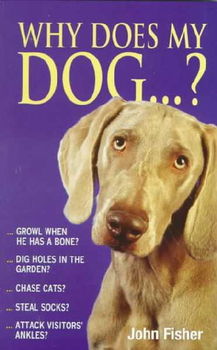 Why Does My Dogdoes 