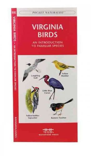 Virginia Birdsvirginia 