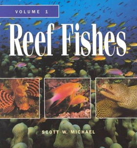 Reef Fishesreef 