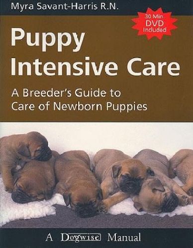 Puppy Intensive Carepuppy 