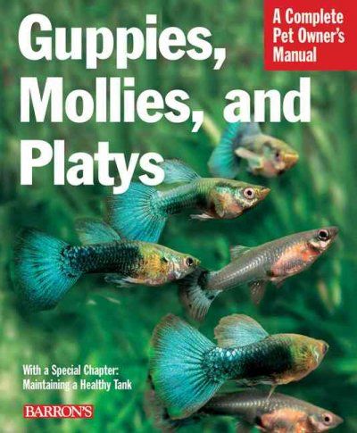 Guppies, Mollies, and Platysguppies 