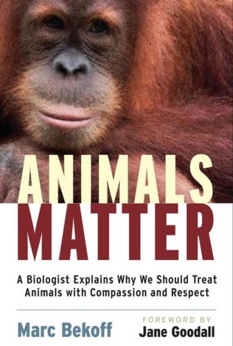Animals Matteranimals 