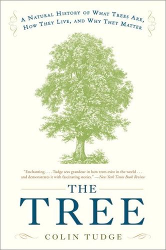 The Treetree 