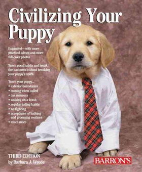 Civilizing Your Puppycivilizing 