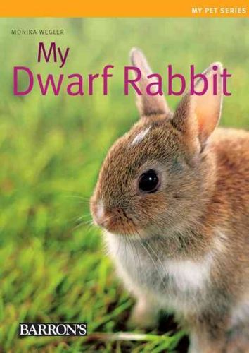My Dwarf Rabbitdwarf 