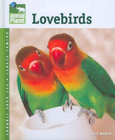 Lovebirdslovebirds 