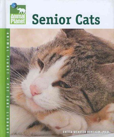 Senior Catssenior 
