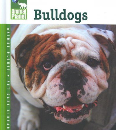 Bulldogsbulldogs 